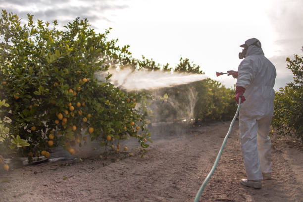 Best Mosquito Control Services  in Eaton Rapids, MI