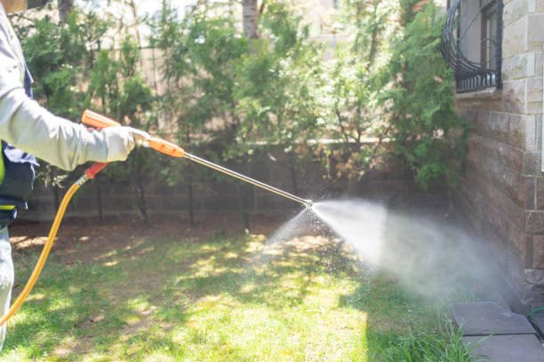 Best Rat Extermination Near Me  in Eaton Rapids, MI