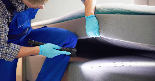  Eaton Rapids, MI Pest Control Pros