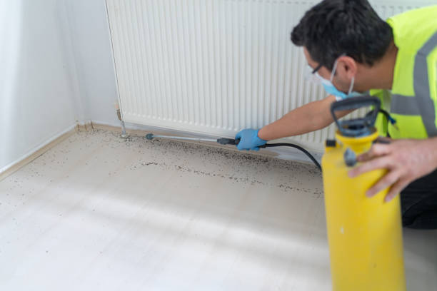 Best Residential Pest Control  in Eaton Rapids, MI