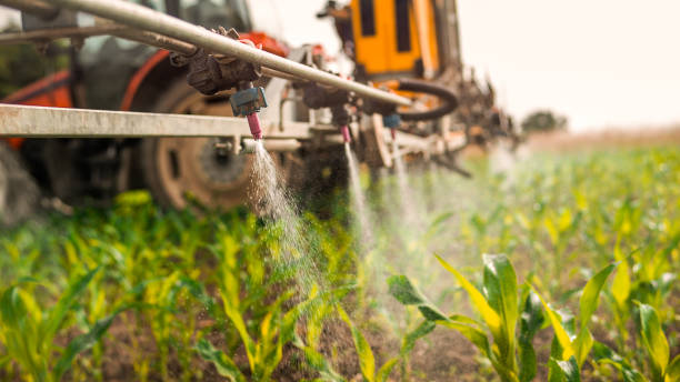 Best Insect Control  in Eaton Rapids, MI